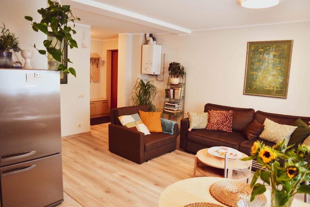 Central Park Apartment Birštonas Buitenkant foto